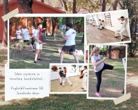 Pillanatképek, 2025