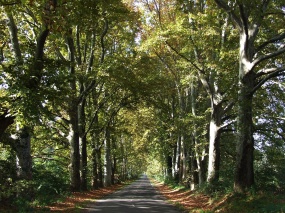 Évszakok